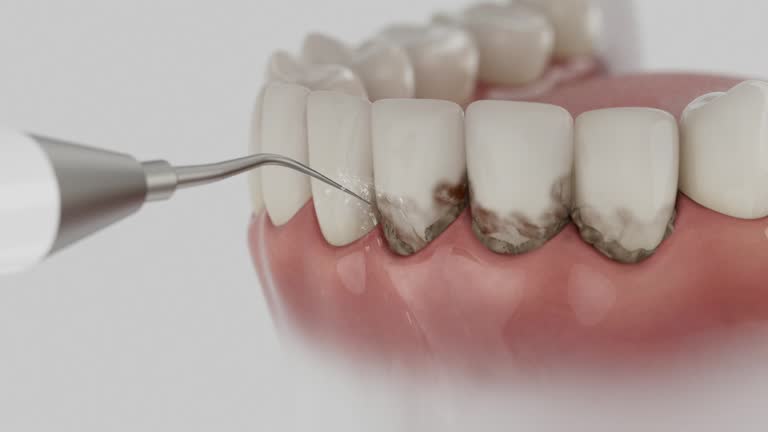 Reliable Dental contractor in Mobile County County, AL by Dentist Open Now